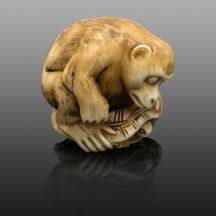 נטסקה שנהב יפני