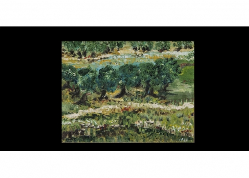 'עצי זית'