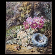 Thomas Worsey - 'פרחים'