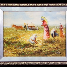 'נשים בשדה'