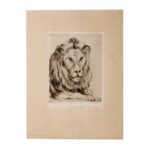 M. Schonfelelt Eisner  - 'אריה'