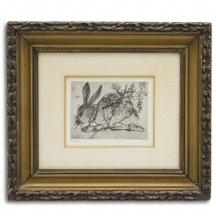 מרדכי מורה - 'ארנב'