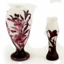 לוט של שני כדי זכוכית (X2)