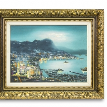 'נוף נמל לילי'