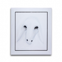מנשה קדישמן - 'ראש כבש לבן'