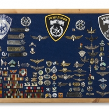לוח ועליו סיכות וסמלים של כוחות ביטחון שונות