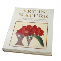 ספר אומנות ישן על איורים בוטאניים