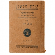 תורת הלשון: ספר דקדוק שפת-עבר (1923)