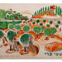 כרזה ישראלית ישנה: 'גן עצי הפרי'