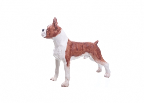 פסל בדמות כלב בוקסר, עשוי פורצלן ביסקוויט