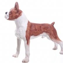 פסל בדמות כלב בוקסר, עשוי פורצלן ביסקוויט