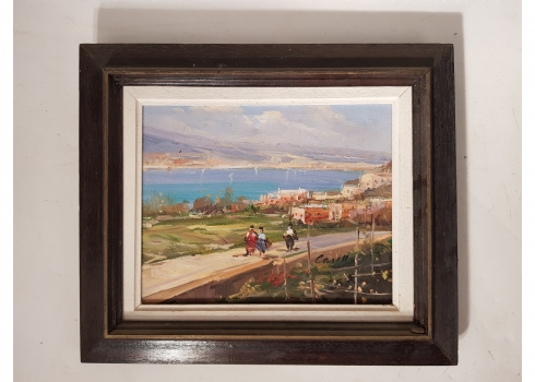 'נוף חיפה'