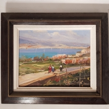 'נוף חיפה'