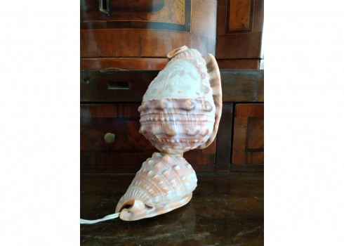 מנורה איטלקית שולחנית ישנה עשויה שתי קונכיות מסוג 'conch shell'