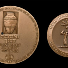 לוט של שתי מדליות ארד