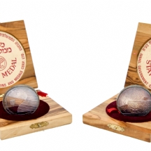 זוג מטבעות מסדרת ארכיאולוגיה