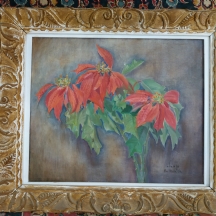 אן מדליי (Ann Medley) - 'חלבלוב הדור פורח'