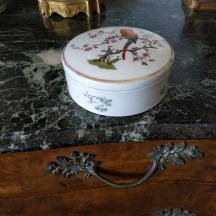 קופסת פורצלן גרמנית ישנה מתוצרת: 'רוזנטל' (Rosenthal), מעוטרת בהדפס בדמות תוכי