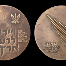 מדליית הוקרה של חיל האוויר