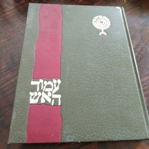 'עמוד האש - פרקים בתולדות הציונות' - ספר ישן שיצא בשיתוף עם רשות השידור.