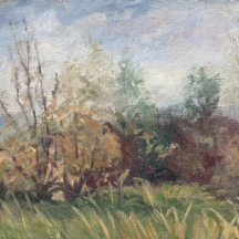 'שיחים' - ציור ישן, שמן על בד, חתום ומתוארך: 1983