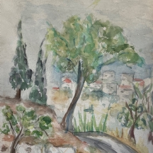 'שביל אפור בין עצים'