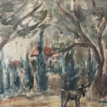 צילה ברנר - 'חמור בזכרון יעקב'