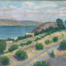 'נוף כינרת'