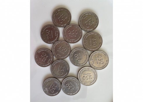 לאספני מטבעות -  לוט של 13 מטבעות ישנים של 250 פרוטה