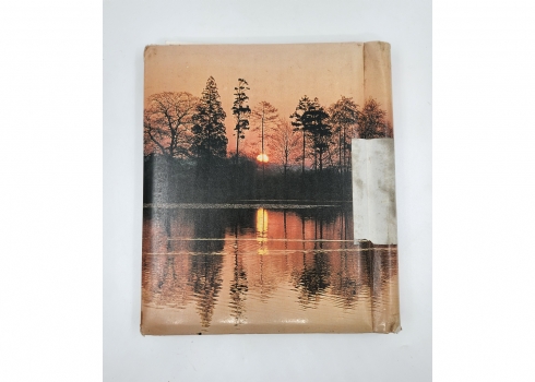 יוסף זריצקי (Joseph Zaritsky) - לוט של כ-80 צילומים של הצייר יוסף זריצקי, באלבום