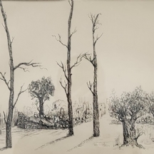 'שני עצי זית עתיקים' - ציור ישן, רישום דיו על נייר, חתום: שחר א.