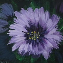 מיליה לאופר  (Milia Laufer) - 'פרחים סגולים'