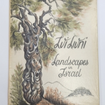 לוט של 10 פריטים