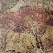 'ביזון עומד' - הדפס מצולם, על פי הציור המפורסם