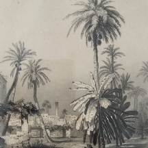 תצריב גרמני עתיק הנקרא: 'Garden in Alexandrien', שם התחריטאי יואהן גייר