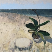 קובי שחר - 'סחלב' - שמן על בד מוצמד ללוח, חתום