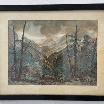 'גדמי עצים ביער הררי' - תצריב עתיק מהמאה ה-19, צבוע ביד, כתמים (מצולם)