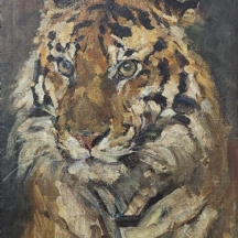 קרל פרינגר (צייר אוסטרי, Carl Fahringer, חי בין השנים: 1874-1952) - 'נמר'