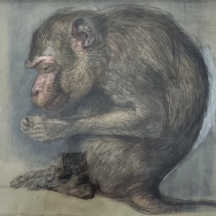 הילדה גולדשמידט (Hilde Goldschmidt) - 'קוף'