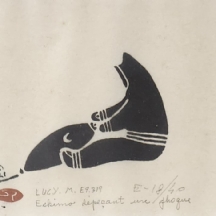 לוסי מיקו (אמנית אסקימואית, Lucy Meeko, חיה בין השנים: 1929 - 2004)