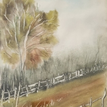 'גדרות לבנות' - אקוורל על נייר, חתום: עליה