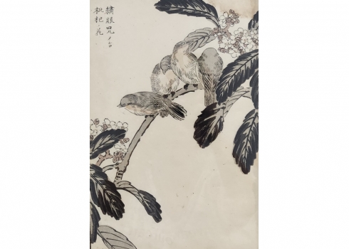 הדפס יפני עתיק מסוף המאה ה-19 של ארבע ציפורים על ענף פורח, חתום