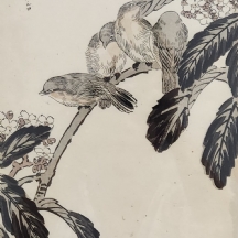 הדפס יפני עתיק מסוף המאה ה-19 של ארבע ציפורים על ענף פורח, חתום