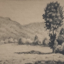 פול-אמיל פיסארו  (צרפתי, Paul Emile Pissarro) - 'עצים ושדה פתוח' - גירי פחם