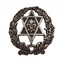 סיכה של השומר הצעיר, עשויה כסף ומעוטרת בכיתוב: "חזק ואמץ" ממוספרת מאחור: 849