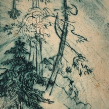 'עצי'- תצריב רומני