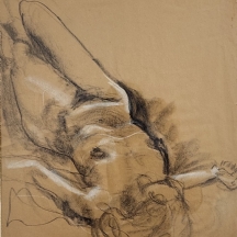 'עירום נשי' - רישום פחם וגירי פנדה על נייר