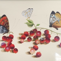 הנס ורהוף (Verhoef Hans, צייר הולנדי, 1932-2012), 'דומדמניות ושלושה פרפרים' -