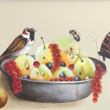 הנס ורהוף (Verhoef Hans) - 'ציפור דבורה ופרפר על קערת פירות'