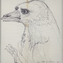 יאן לבנשטיין (1930-1999, Jan Lebenstein) - 'ציפורים' - רישום דיו על נייר